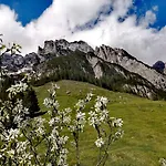 Riedlhof - * Leogang