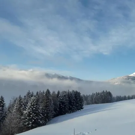 Riedlhof - Apartamento *