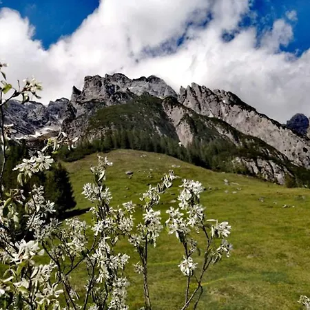 Riedlhof - * Leogang
