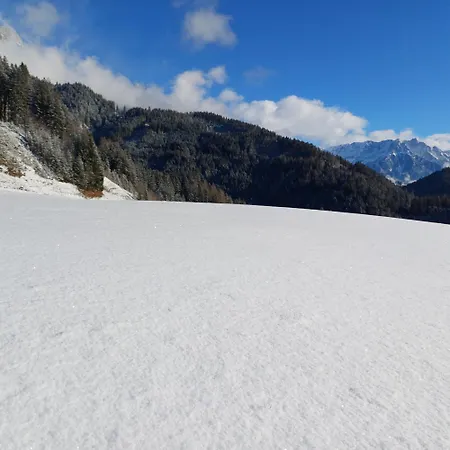 Διαμέρισμα Riedlhof - *