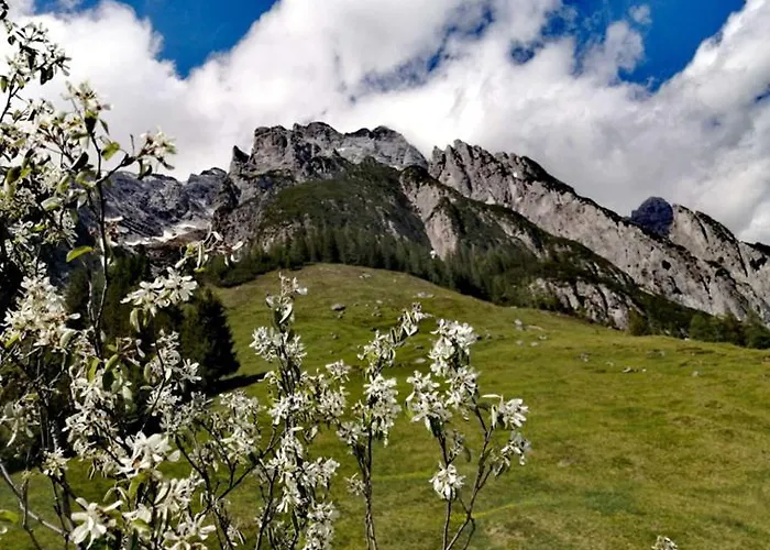 Riedlhof - * Leogang